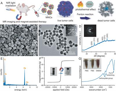 Achieving NIR Light-Mediated Tumor-Specific Fenton Reaction-Assisted Oncotherapy by Using Magnetic Nanoclusters